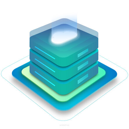 Hosting BIZNES
